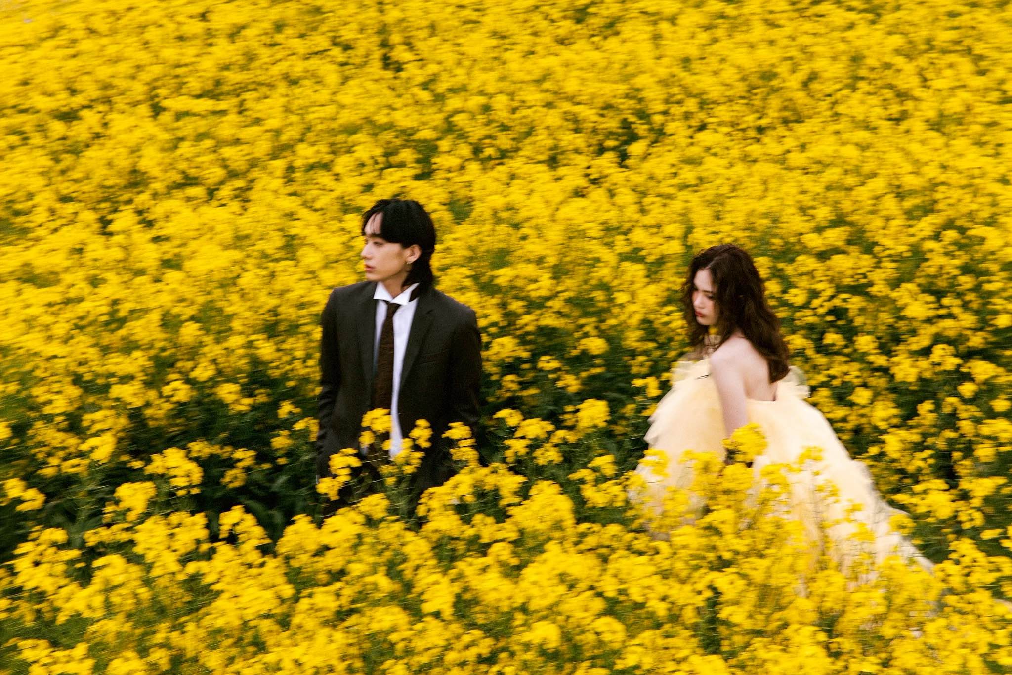 スタジオ、フォトスタジオ、結婚、写真、撮影、前撮り、札幌、北海道、ウエディングドレス、カラードレス、和装、色打掛、レース打掛、オリジナル、ファッション、ファッションウィーク、バンクーバー、VFW、カウンセリング、ヘアメイク、おしゃれ、トレンド、ソロウェディング、ソロ、お得、キャンペーン